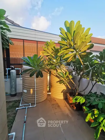 Charming outdoor area with water tanks and lush greenery, perfect for sustainable living.
