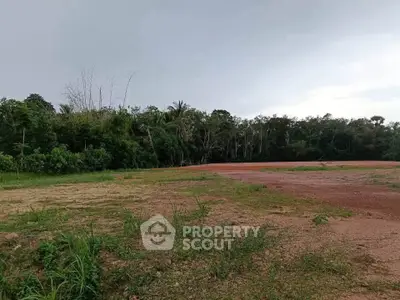 Expansive plot of land with lush greenery, perfect for development or investment opportunities.