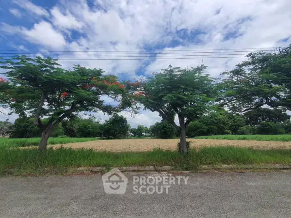 image_rental-17615812