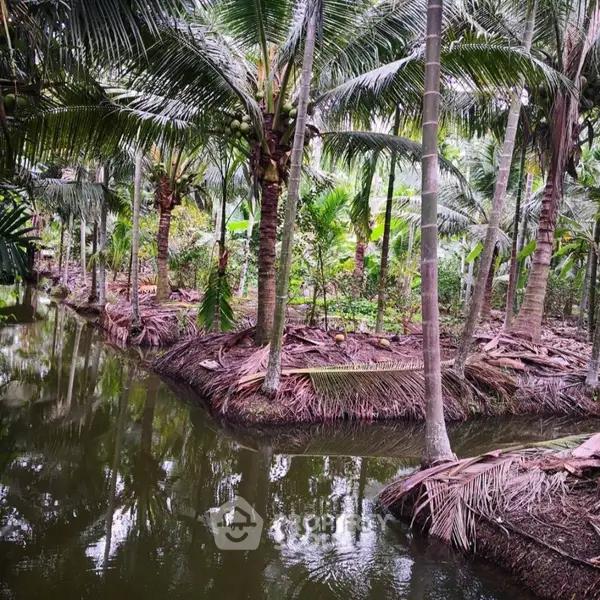 image_rental-12464053