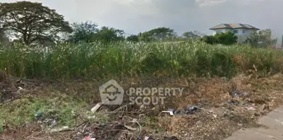 image_rental-30574258