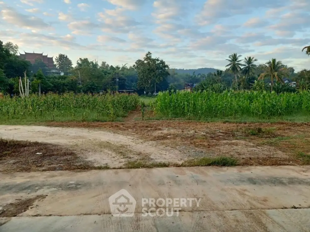 Scenic view of lush green farmland with distant hills and palm trees under a cloudy sky.