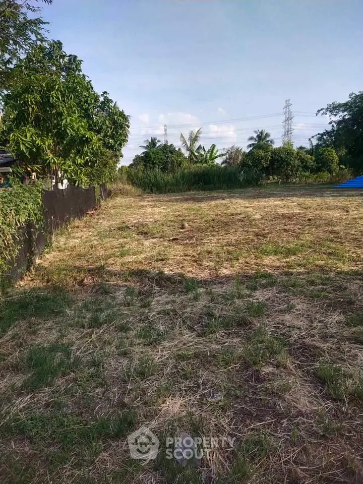 Spacious vacant land with lush greenery, perfect for development or investment opportunities.