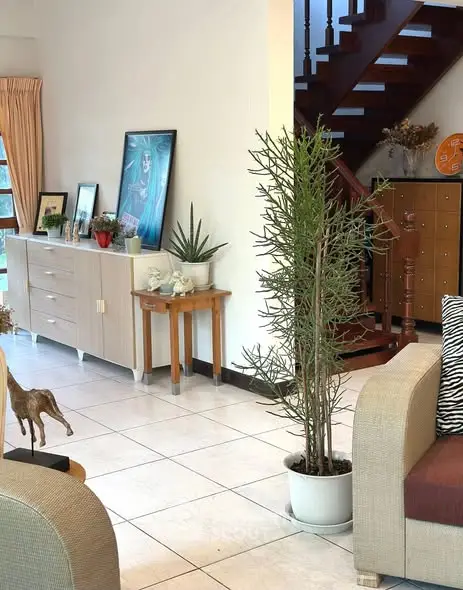 image_rental-28811870