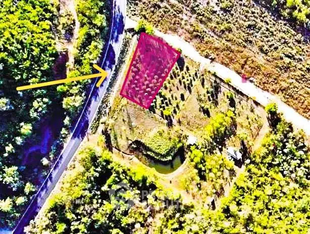 Aerial view of a lush green property with road access and potential for development.