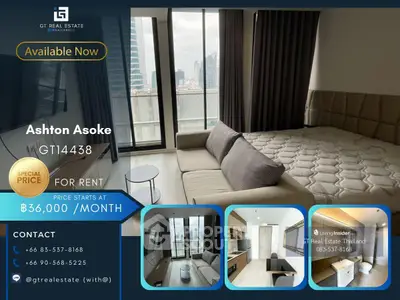 image_rental-25528740