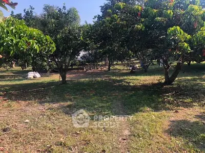 image_rental-31623283