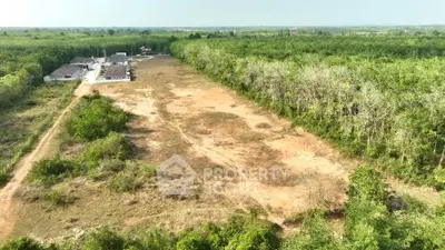 Expansive land plot surrounded by lush greenery, ideal for development opportunities.