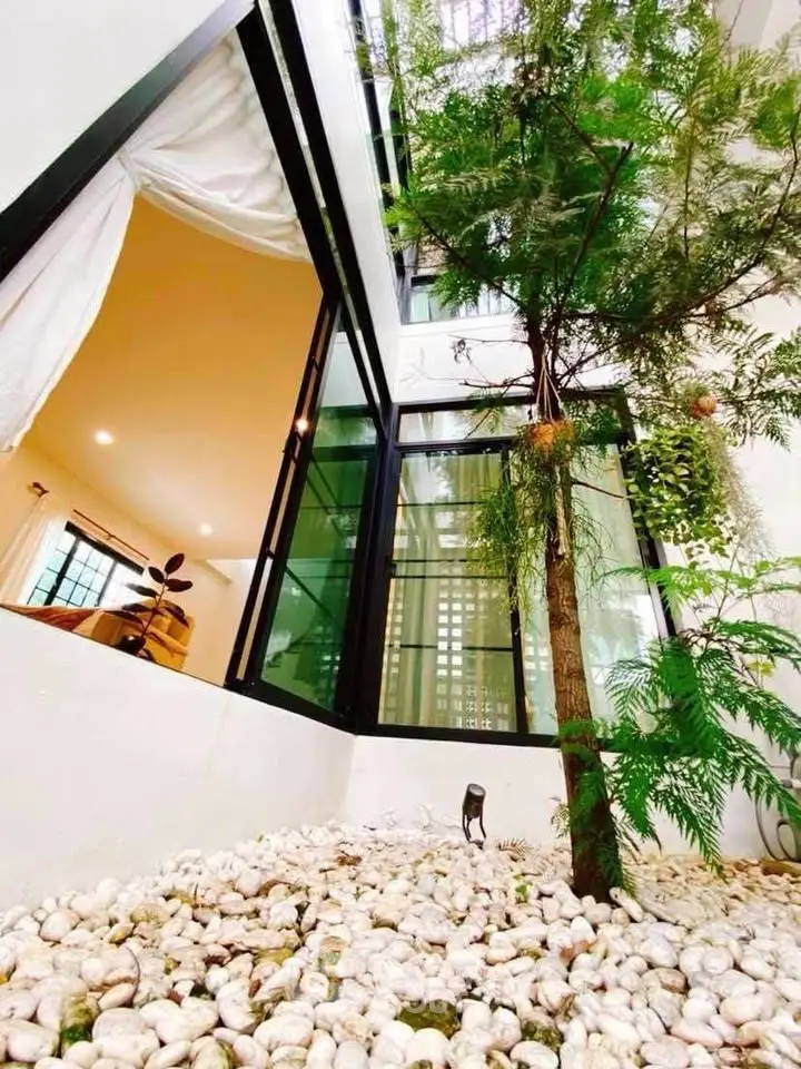 Modern home with indoor garden and large windows for natural light