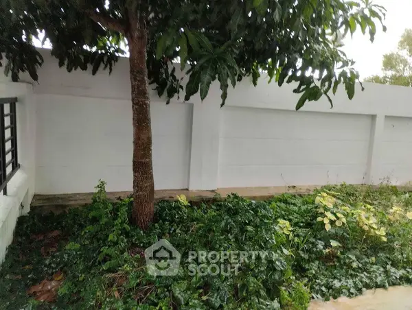 image_rental-8829449