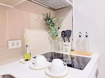 Modern kitchen with sleek induction cooktop and stylish decor