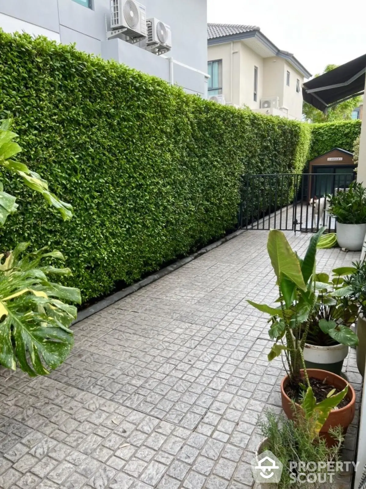 Charming garden patio with lush greenery and potted plants, perfect for outdoor relaxation.