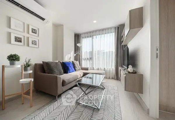 image_rental-19118019