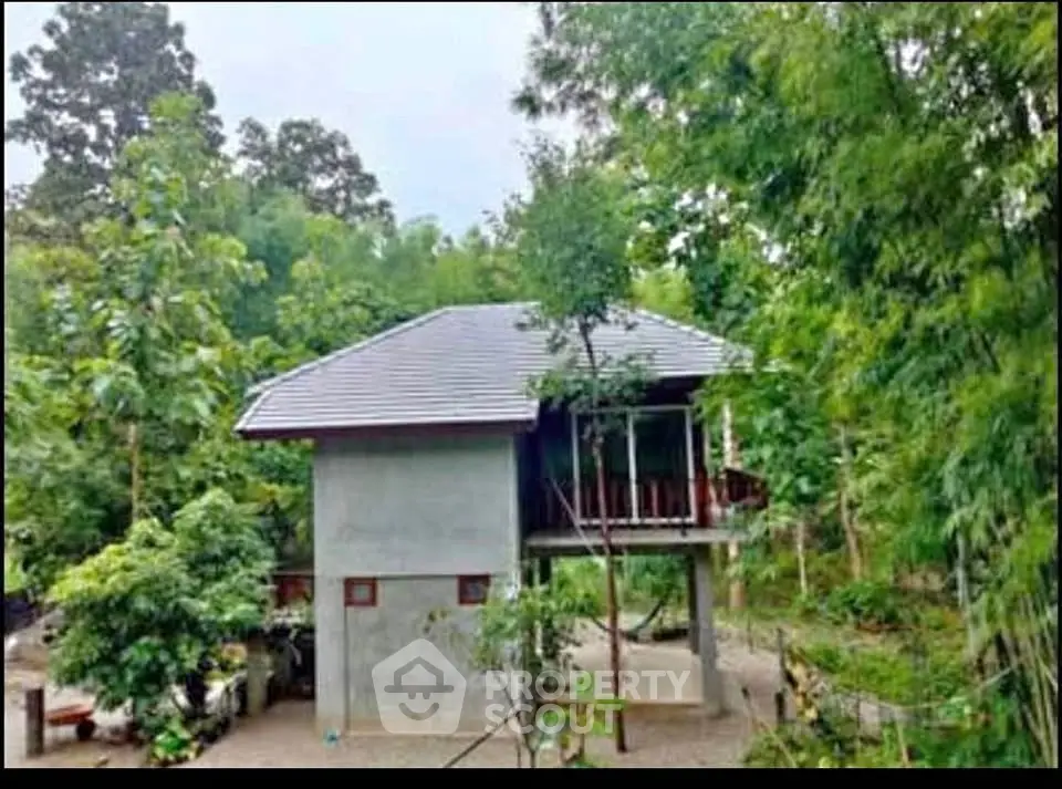 Charming elevated house surrounded by lush greenery, perfect for nature lovers seeking tranquility.