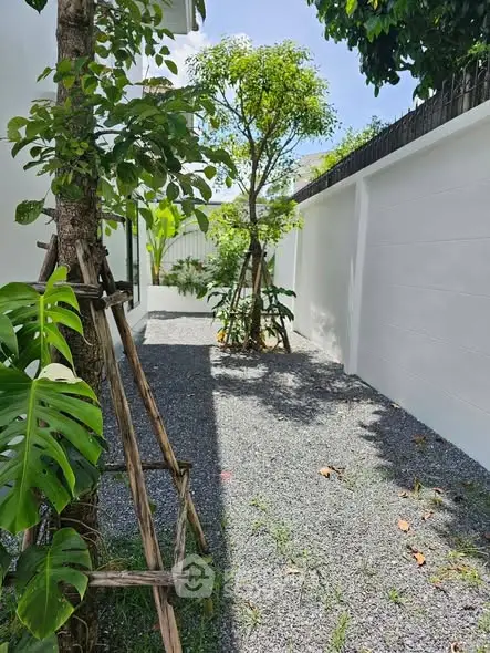 Charming garden area with lush greenery and gravel path, perfect for outdoor relaxation.