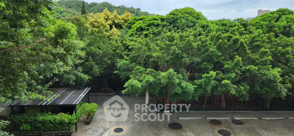 Lush green garden view from a property with ample parking space and serene surroundings.