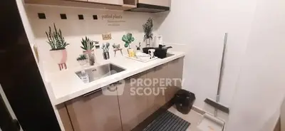 Charming compact kitchen with modern decor and potted plant accents