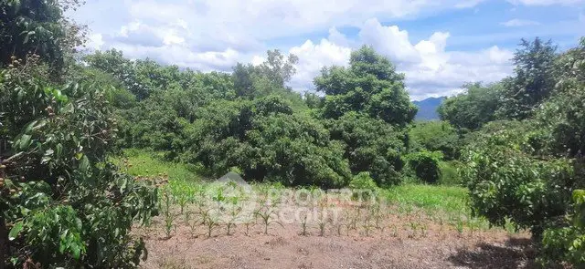 Lush green land with trees and clear blue sky, perfect for agricultural or development opportunities.