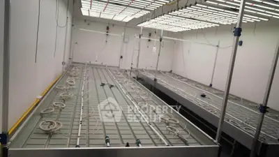 Modern indoor hydroponic farm setup with advanced lighting and irrigation systems.
