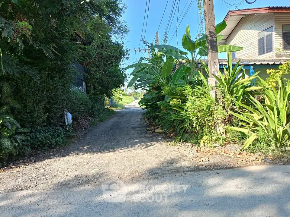 Charming rural road with lush greenery and quaint houses, perfect for serene living.