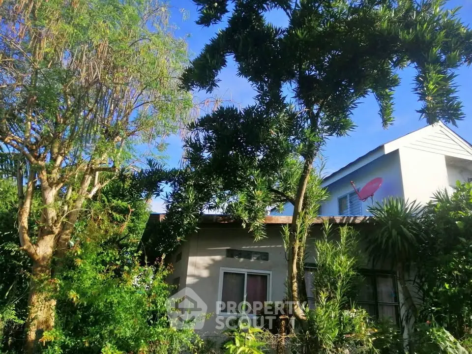 Charming suburban house with lush garden and vibrant greenery