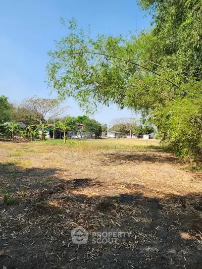 image_rental-26976165