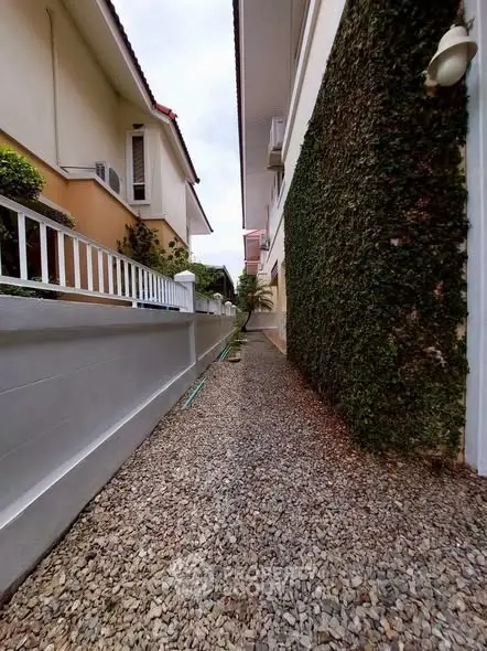 image_rental-29397504