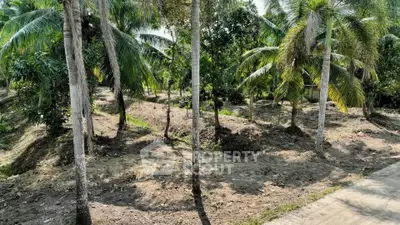 Lush tropical land with palm trees, ideal for development or agriculture.