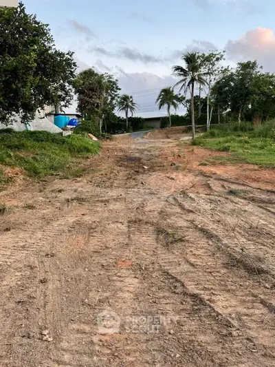 Expansive land plot with lush greenery and potential for development.