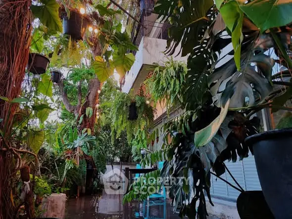 Lush garden with hanging plants and cozy outdoor seating area