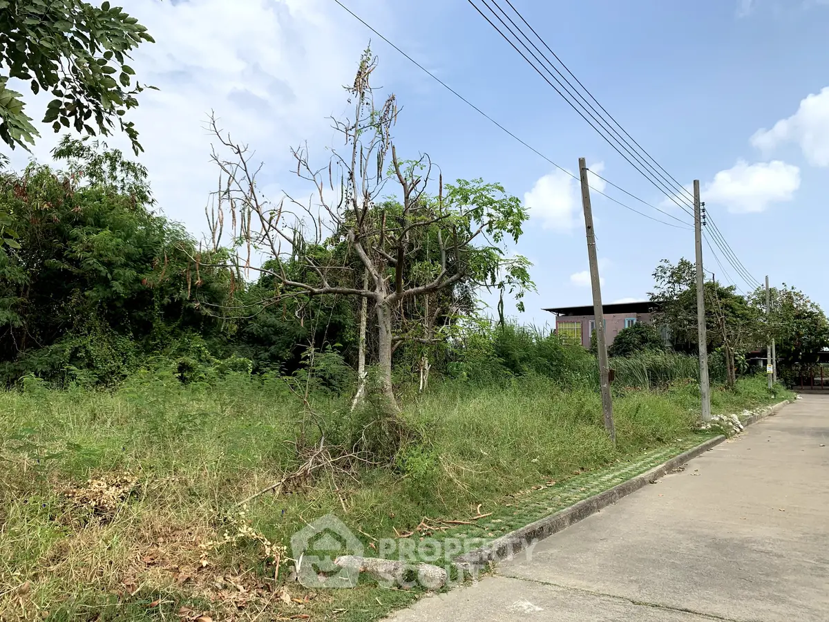 Vacant land plot with lush greenery and clear sky, ideal for development opportunities.
