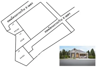 Modern single-story house with spacious driveway and lush greenery, perfect for family living.