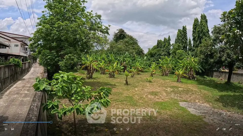 Spacious green land plot with lush trees and clear sky, ideal for development or investment.