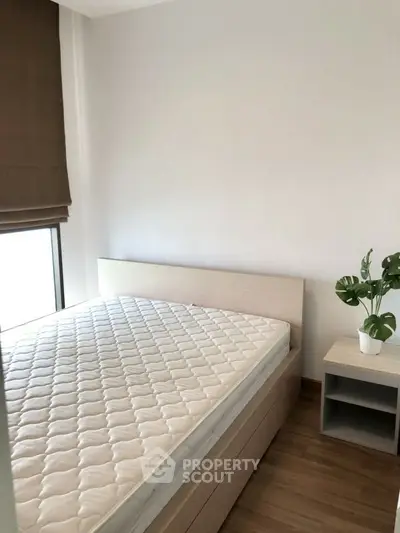 Cozy bedroom with natural light, featuring a minimalist bed and a stylish nightstand with a plant.