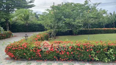 Beautiful garden view with lush greenery and vibrant flowers in a serene residential setting.