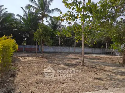 Spacious plot of land with lush greenery and palm trees, ideal for development or investment opportunities.