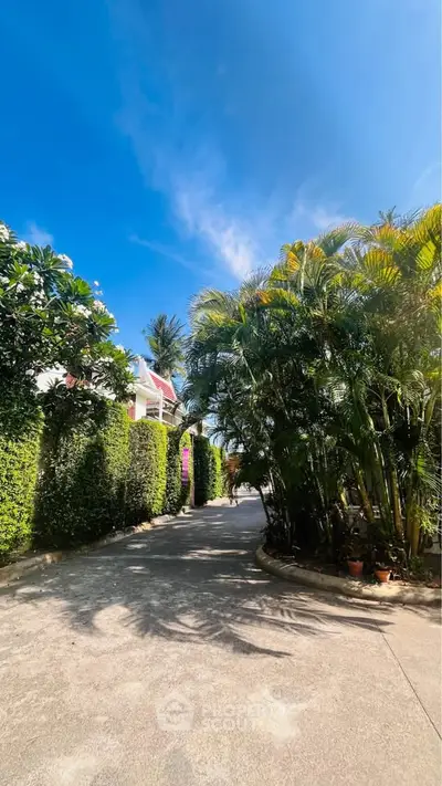 Beautiful driveway with lush greenery and clear blue sky, perfect for serene living.