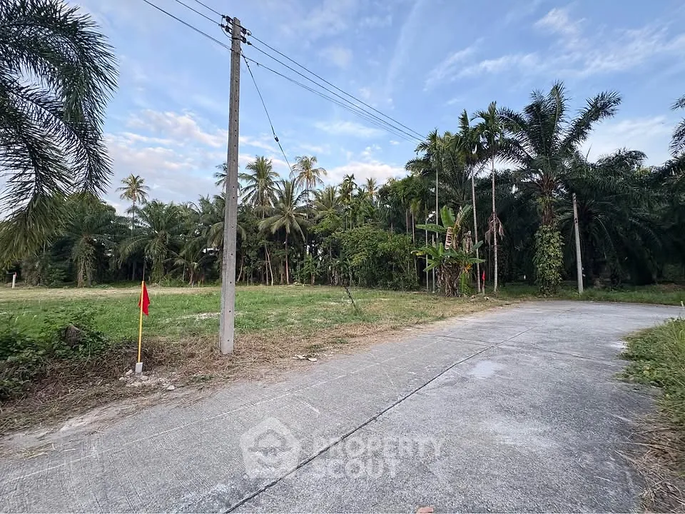 Scenic plot of land with lush greenery and palm trees, perfect for development.