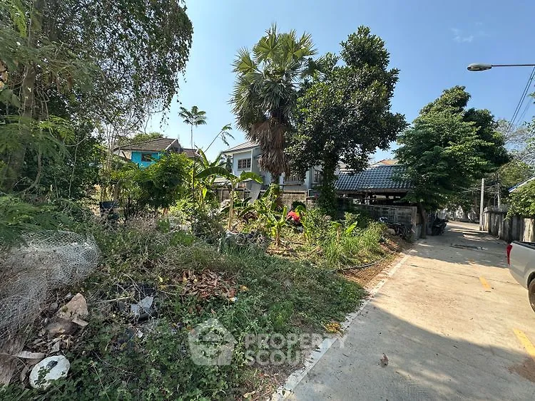 Charming suburban home surrounded by lush greenery and a quiet street, perfect for nature lovers.