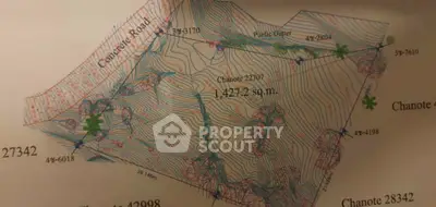 Detailed schematic plan of a large land plot with contour lines and measurements.