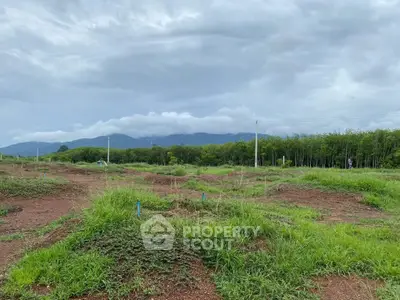 Expansive land plot with lush greenery and mountain views, perfect for development or investment opportunities.