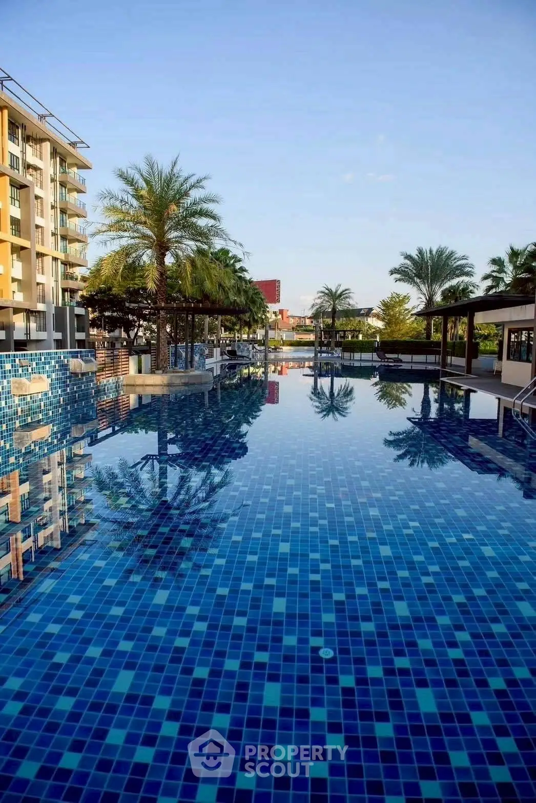 Luxurious outdoor pool area with palm trees and modern building view, perfect for relaxation and leisure.