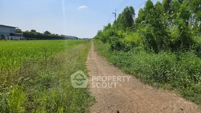 image_rental-27369234