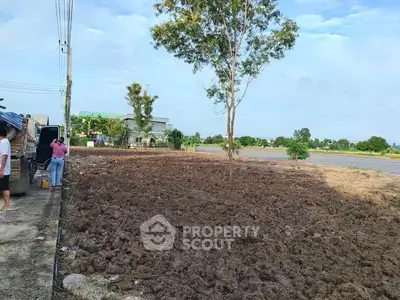 Vacant land plot with tree and road access, ideal for development.