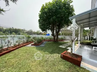 image_rental-28562170