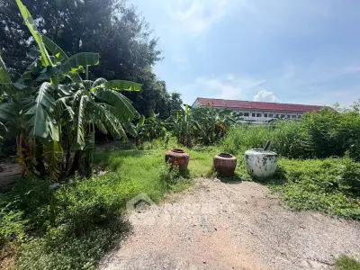 Lush garden with banana trees and traditional pots near a building under clear blue sky.