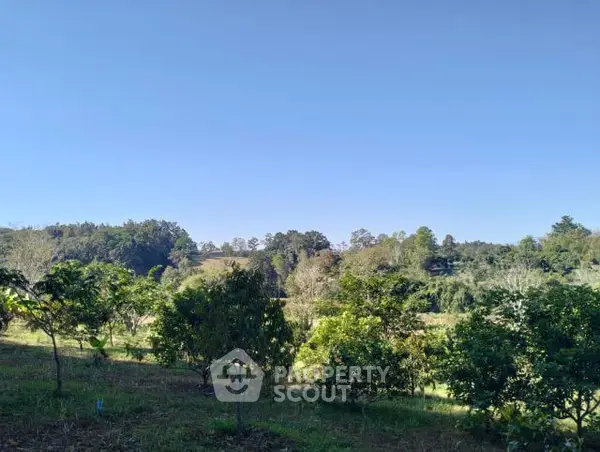 image_rental-16592207