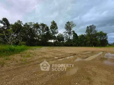 Expansive vacant land with lush greenery, perfect for development opportunities.