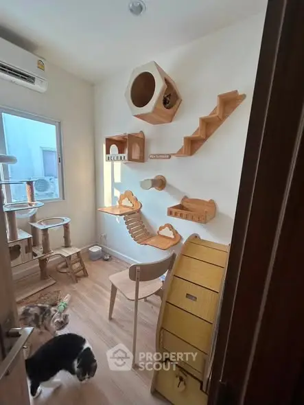 Charming pet-friendly room with custom cat furniture and natural light, perfect for feline enthusiasts.