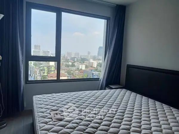 image_rental-28251907